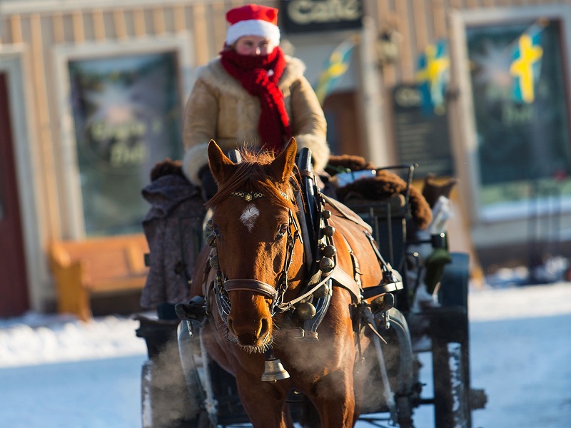 Bussresa till julmarknad i Nora